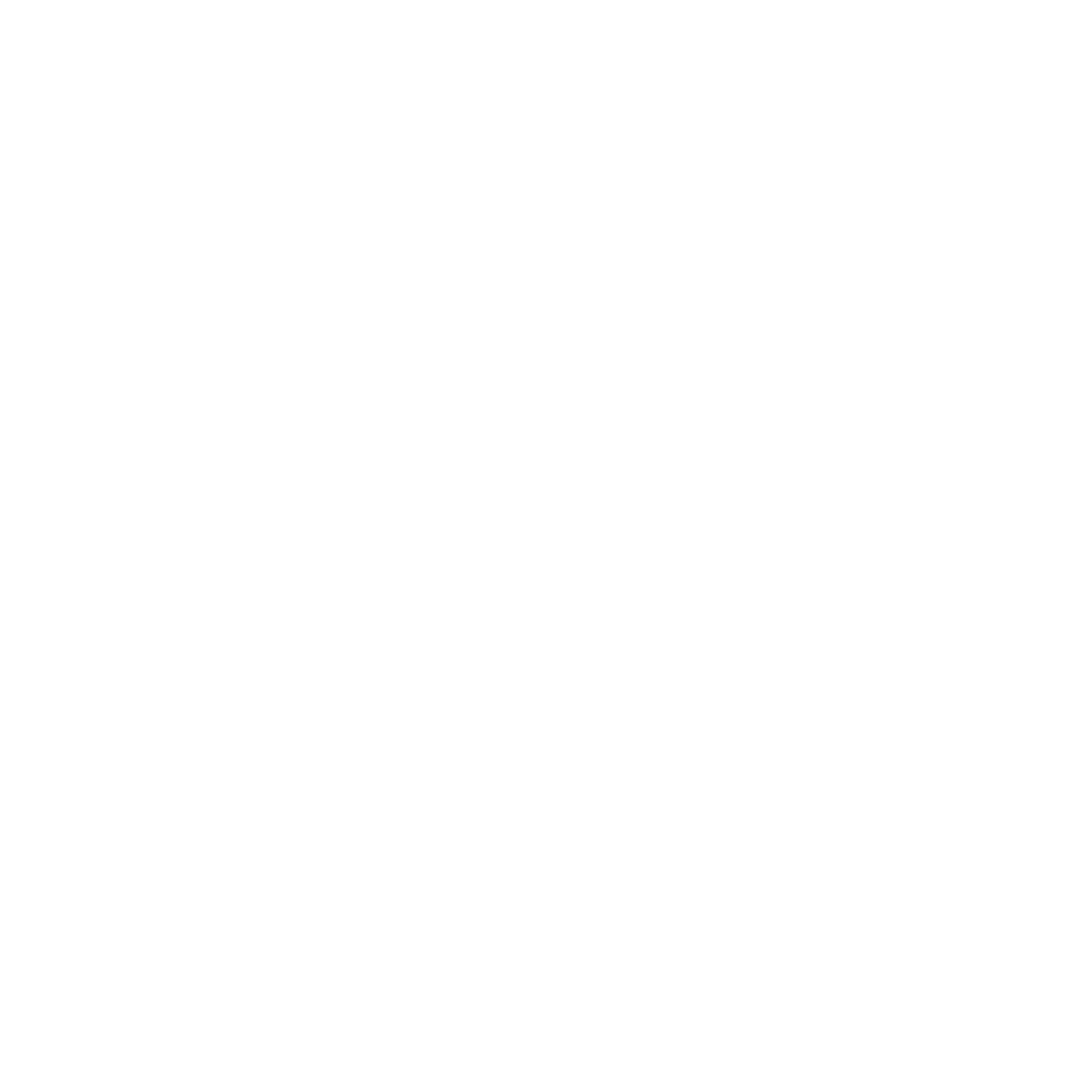 Val Xperience Logo